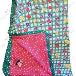 ISO 1995 Gymboree “Picnic” Line Baby Blanket
